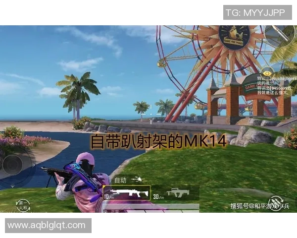 探索和平精英V5版本的强大魅力与全新玩法揭秘实时新闻